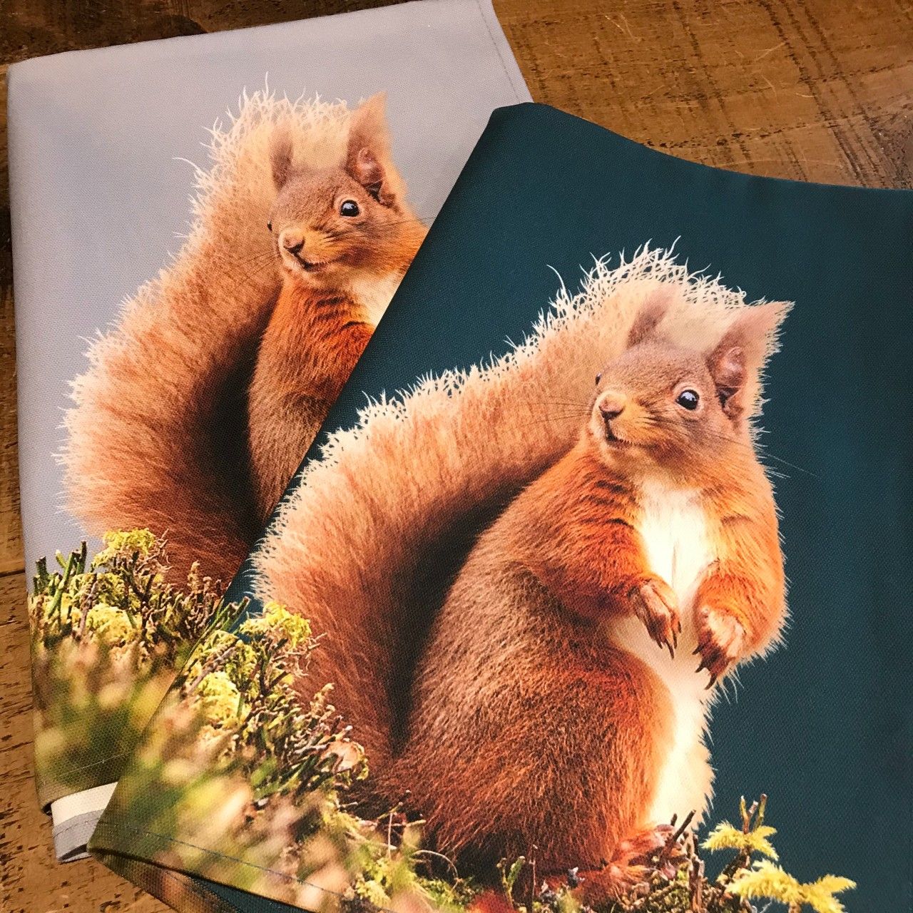 Launch of Red Squirrel Homewares Collection